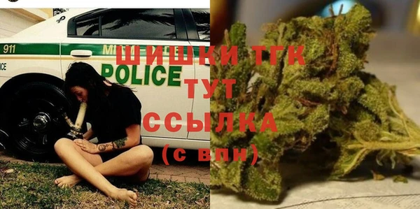твердый Няндома