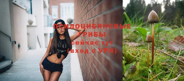 экстази Дегтярск