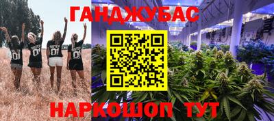 прущие крисы Гай