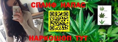 прущие крисы Гай