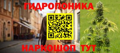ГАЛЛЮЦИНОГЕННЫЕ ГРИБЫ Гагарин
