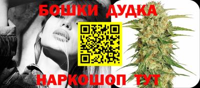 прущие крисы Гай