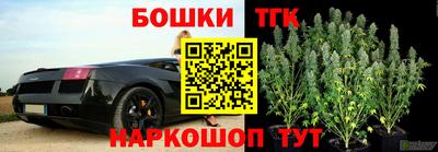 прущие крисы Гай