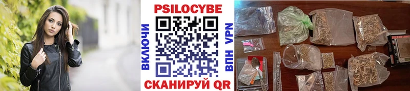 Галлюциногенные грибы Psilocybe  Севастополь 