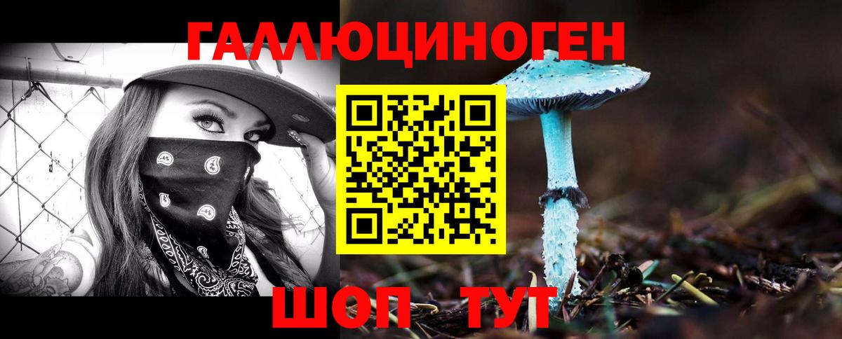 Псилоцибиновые грибы GOLDEN TEACHER  Вход с VPN  Севастополь 