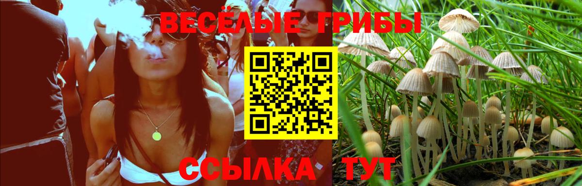 Псилоцибиновые грибы прущие грибы Севастополь